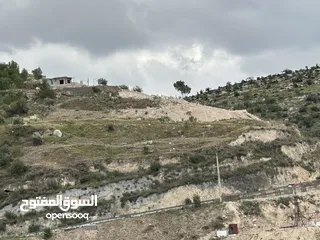  12 استراحة استثماريه للبيع مطله على وادي الريان قوشان مستقل 3،5 دونم مشجرة بالكامل مع مواقف سيارات