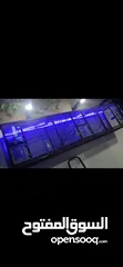  1 مطير عصافير او حمام