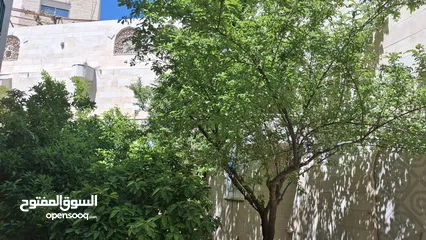  15 فيلا للبيع