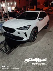  5 سيات فورمينتور كوبرا ترخيص 2024