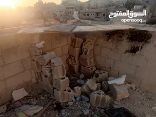  1 حمام مشكل زوجل مكتيف بلجكه جوز حمام انواع