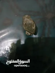  17 عقيق واحجار كريمه