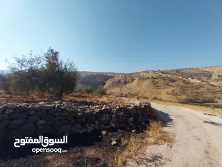  2 قطعة أرض للبيع في جرش الكفير بالقرب من مشتل الفيصل  ( Property ID : 39804 )