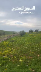  11 للبيع مزرعه 4.5 دونم في حمنانه المفرق ام حبل مخدومه