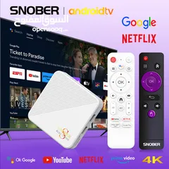  1 Snober electronic