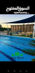  14 شاليه فاخر  ومزرعه للايجار الاسبوعي والشهري فقط بركة مدفأة اطلاله خياليه  نظافة يوميه للمكان بالكامل