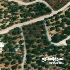  3 قطعة ارض بمساحة 550متر مربع  نابلس -نصف اجبيل