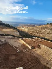  1 ارض للبيع حلحول بقار القصر الصيني