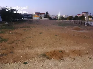  3 ارض بالرمثا للبيع