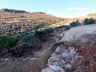  2 ارض للبيع في كوبر  تبعد 5 كيلو تقريبا عن جامعه بيرزيت