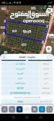  2 مادبا الفيحاء قطعتين متجاورتين  بجانب التنظيم غرب النديم والحراويه بمنطقة فلل ومزارع خاصة