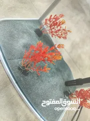  8 حوض سمك مستورد كيرف انارة لد و فلتر داخلي الطول 33سم العمق 20 سم ارتفاع 36 سم