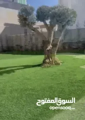  1 دابوق فيلا مستقلة للبيع على مساحة ارض 635 م