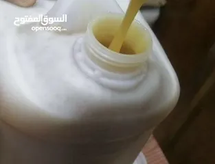  7 عسل يمني جبلي حر