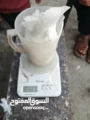  6 متاح لزبائنا الكرام زغاليل حمام بلدي وفرنسي  للأكل احجام سوبر جامبو وأوزان ممتازة التفاصيل بالوصف