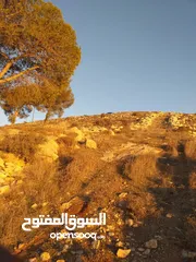  1 دورا جبل ابو عشره