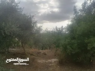  2 قطعه ارض 240 متر للبيع بسعر مغري