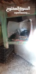  2 طيرة سكسفونية للبدل بلدي