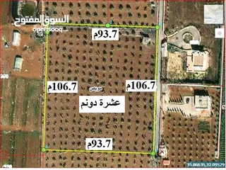 1 "قطعة اراضي شمال عمان موبص زراعية مشجرة 