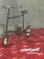  5 باسكل سياحي