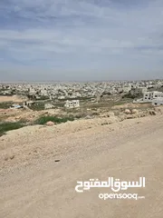  5 بأعلى مطل واقل سعر حوض 31 خلايا وادي العين مساحة الشقفه 828 م2 واجهة القطعه 24 م بسعر مغري جدا جدا م