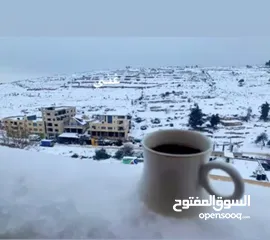  12 شقة من المالك مباشرة