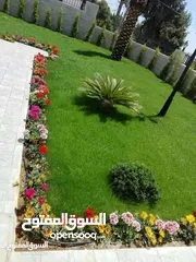  10 تنسيق حدائق وزراعة جميع انواع الاشجار والنخيل