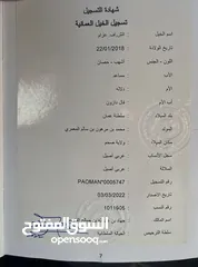  2 حصان للبيع ارتفاع ممتاز