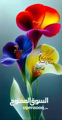  1 قطعه أرض للبدل على سياره