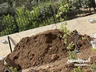  2 تراب احمر مجاناً