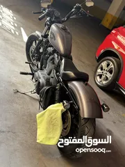  4 2017 Harley Davidson Iron 883