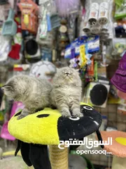  27 هملايا لينكس بيور لعب تابع الوصف بعناية مهم متابعة الوصف عروض حقيقية بمناسبة العرض