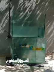  7 حوض سمك مع كامل معدادو