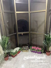  2 شقة سوبر ديلوكس تستحق المشاهدة