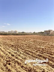  3 ارض مميزة بسعر مغري اليادودة الفريط