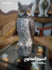  3 مناظر حيوانات للبيع بسعر مغري