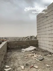  1 رووف مميز عظم للبيع