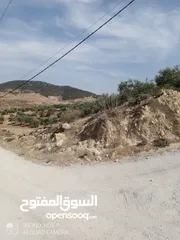  9 للبيع مزرعة في قرية الرميمين