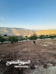  6 أرض مميزه _الصبيحي _ بيوضه الشماليه