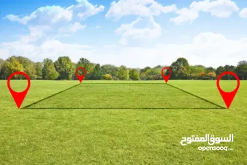  3 أرض للبيع في نابلس / عصيرة الشمالية حوض واد الصياد مزروعة زيتون متوفر كافة الخدمات اطلالة رائعة