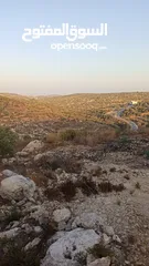  5 القبة الذهبية  شارع بلعا-دير الغصون