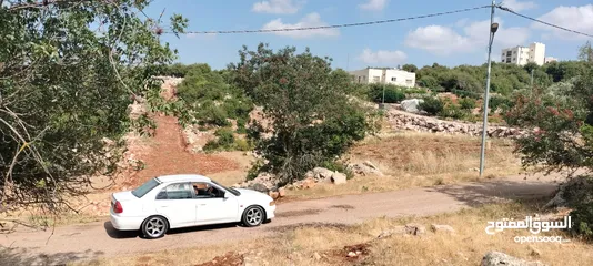  1 قطعة ارض للبيع راسون منطقة الطالبيه
