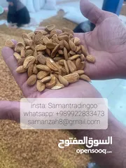  1 قابله اللوز  Almonds mamera