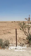  5 ارض للبيع من المالك في الموقر الحنيفيه