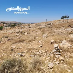  4 ارض مميزة في رجم الشوك 700م سكن ب حد شفا بدران من المالك مباشر