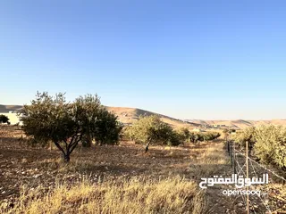  4 ثلاث دونمات ونصف في صروت تبعد عن شفا بدران و شارع الاردن 20 دقيقه