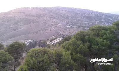  11 مزرعة و شاليه للبيع قرب منتزه زي مدينة السلط