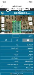  2 ارض للبيع بالسلط