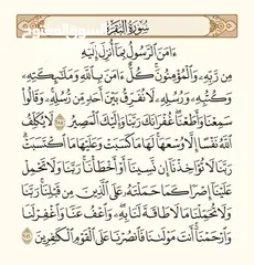  1 11 جوز هزاز ابيض شي معو فراخ وشي تحتو بيض ب 100