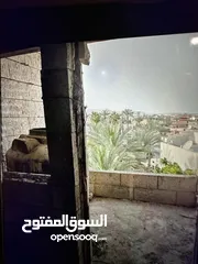  1 شقه البيع عظم